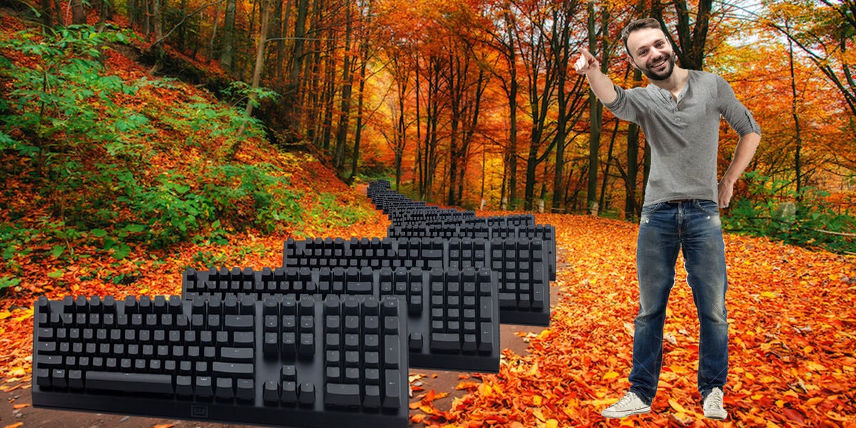 Path of Wooting keyboards through a very nice Fall forest